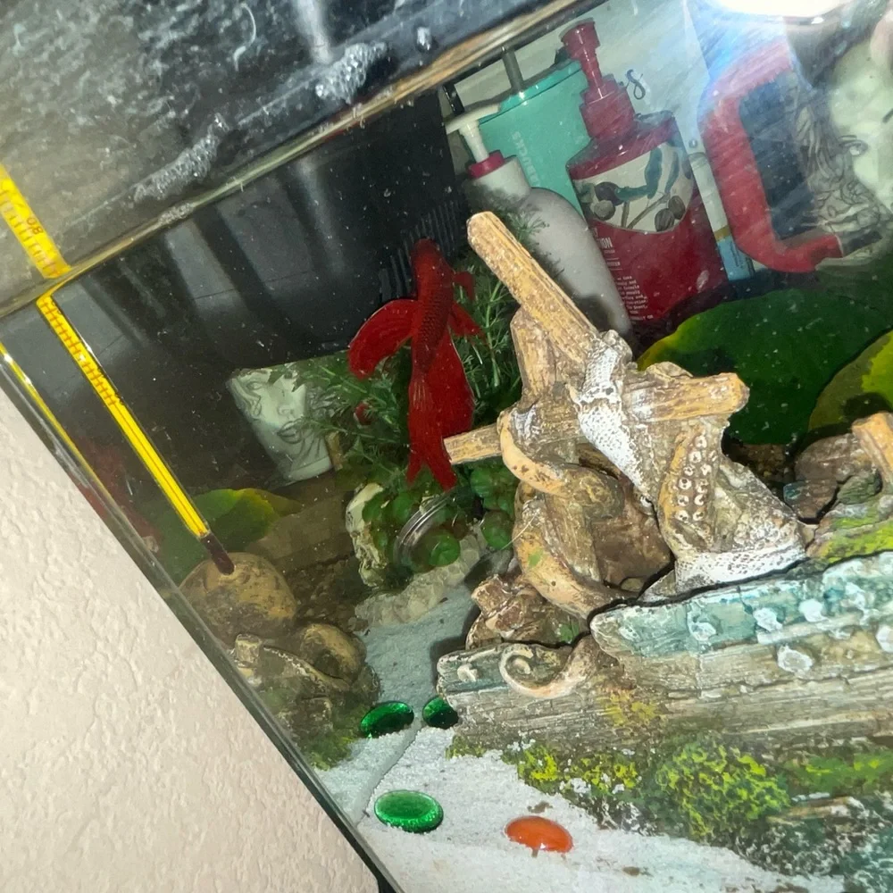 Fish tank